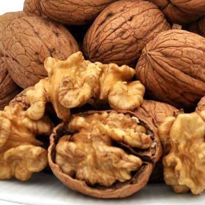 Walnut Without Shell