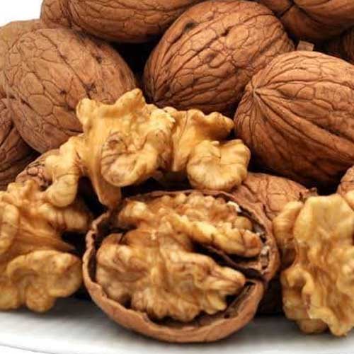 Walnut Without Shell
