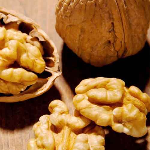Walnut Without Shell